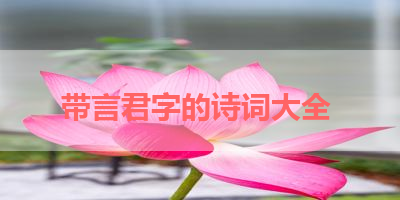带言君字的诗词大全 