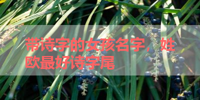 带诗字的女孩名字，姓欧最好诗字尾 