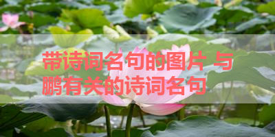 带诗词名句的图片 与鹏有关的诗词名句