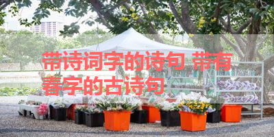 带诗词字的诗句 带有春字的古诗句
