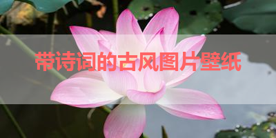 带诗词的古风图片壁纸 