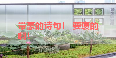 带豪的诗句！ 要褒的啊！ 