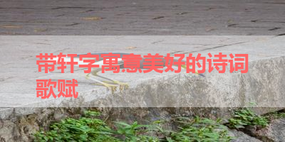带轩字寓意美好的诗词歌赋 