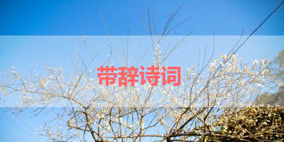 带辞诗词 