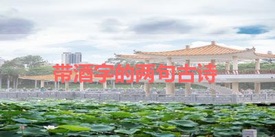 带酒字的两句古诗 