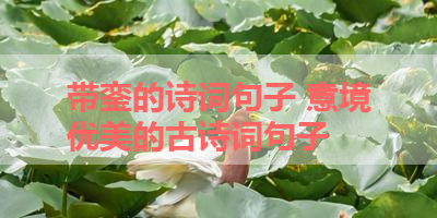 带銮的诗词句子 意境优美的古诗词句子