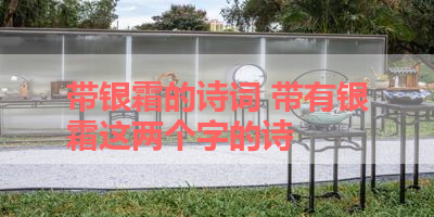 带银霜的诗词 带有银霜这两个字的诗 