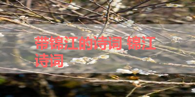 带锦江的诗词 锦江 诗词