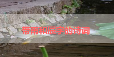 带雨和辰字的诗词 