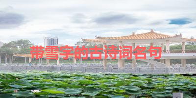 带雪字的古诗词名句 