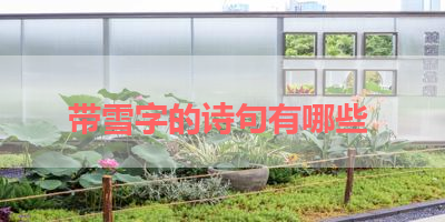 带雪字的诗句有哪些 