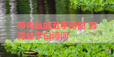 带青丝的五字诗词 剪青丝李白诗词