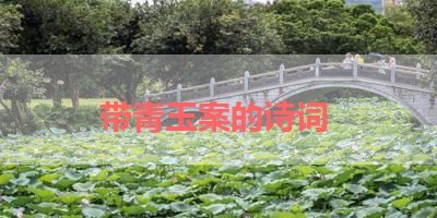 带青玉案的诗词 