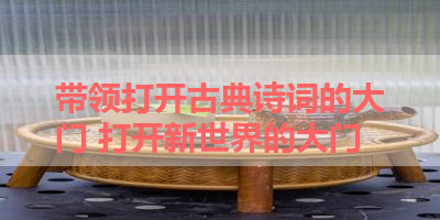 带领打开古典诗词的大门 打开新世界的大门