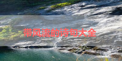 带风流的诗句大全 