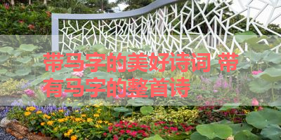 带马字的美好诗词 带有马字的整首诗 