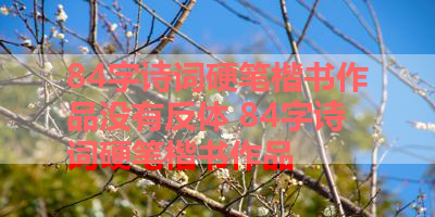 84字诗词硬笔楷书作品没有反体 84字诗词硬笔楷书作品