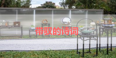 带驭的诗词 