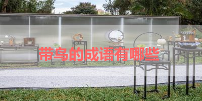 带鸟的成语有哪些 