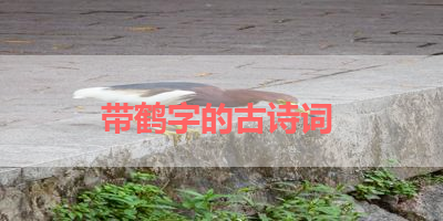 带鹤字的古诗词 