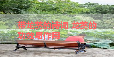 带龙葵的诗词 龙葵的功效与作用