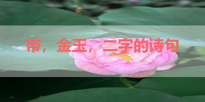 带，金玉，二字的诗句 