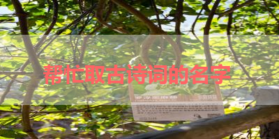 帮忙取古诗词的名字 