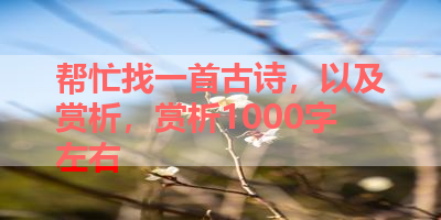 帮忙找一首古诗，以及赏析，赏析1000字左右 