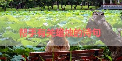 帮手有关蜡烛的诗句 