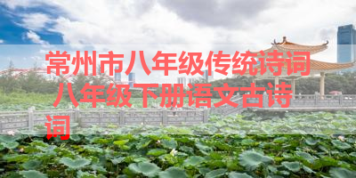常州市八年级传统诗词 八年级下册语文古诗词