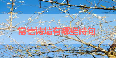 常德诗墙有哪些诗句 