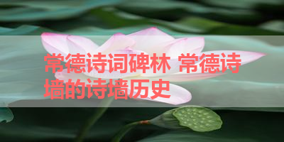 常德诗词碑林 常德诗墙的诗墙历史 