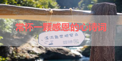 常怀一颗感恩的心诗词 