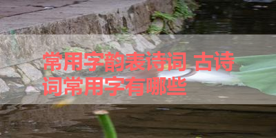 常用字韵表诗词 古诗词常用字有哪些 