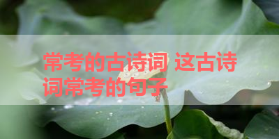 常考的古诗词 这古诗词常考的句子 