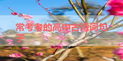 常考考的高中古诗词句子 