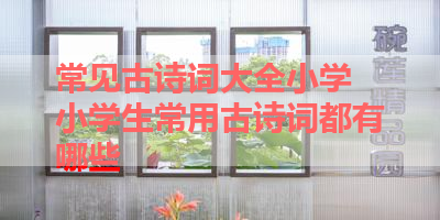 常见古诗词大全小学 小学生常用古诗词都有哪些 