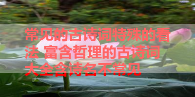 常见的古诗词特殊的看法 富含哲理的古诗词大全含诗名不常见 