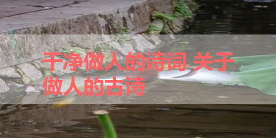 干净做人的诗词 关于做人的古诗 