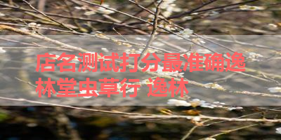店名测试打分最准确逸林堂虫草行 逸林