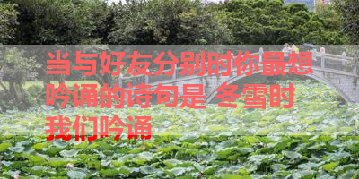 当与好友分别时你最想吟诵的诗句是 冬雪时我们吟诵