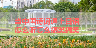 当中国诗词遇上日语 怎么听怎么搞笑搞笑 