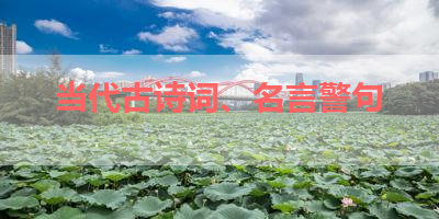 当代古诗词、名言警句 