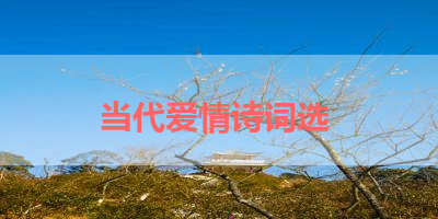 当代爱情诗词选 