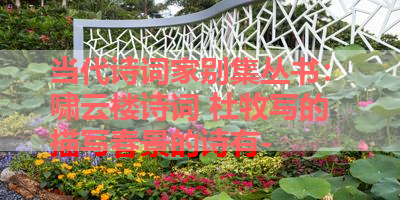 当代诗词家别集丛书：啸云楼诗词 杜牧写的描写春景的诗有- 