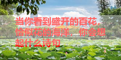 当你看到盛开的百花，恰似花的海洋，你会想起什么诗句 