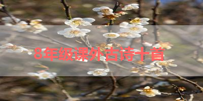 8年级课外古诗十首 