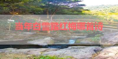 当年白雪踏红梅哪首诗 