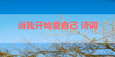 当我开始爱自己 诗词 