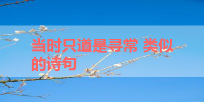 当时只道是寻常 类似的诗句 